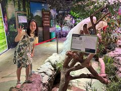 -正佳雨林生态植物园