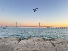 -星海广场