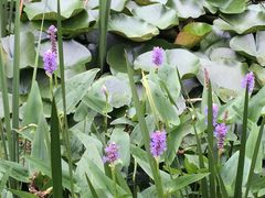 蠡湖中央公园-蠡湖中央公园