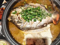 -探鱼·鲜青椒爽麻烤鱼(北京路天河城店)