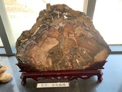 -中国第四纪冰川遗迹陈列馆