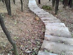 -火炉山森林公园