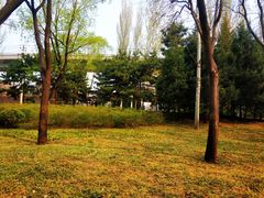 -北极寺公园