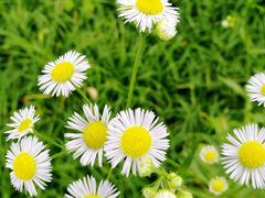 -安庆师范大学(龙山校区)