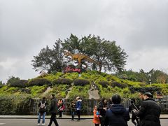 -自贡恐龙博物馆