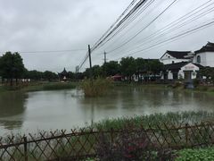 -丫丫蟹庄·苏式园林农家乐·阳澄湖大闸蟹(阳澄湖莲花岛店)