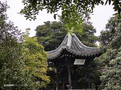 -何园