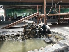 -西安秦岭野生动物园