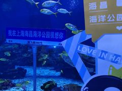 -上海海昌海洋公园