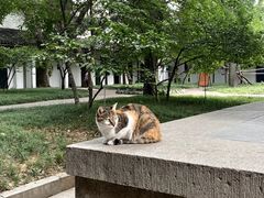 -西园戒幢律寺