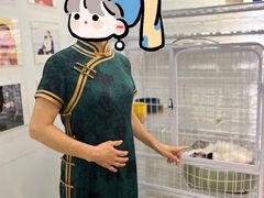 -iF摄影•全家福•证件照•形象照(南山店)