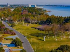 -江滩湿地公园