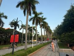 -厦门大学(思明校区)