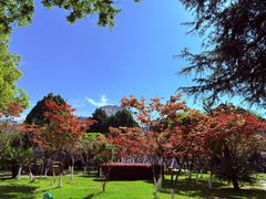 -云南师范大学(一二一西南联大校区)