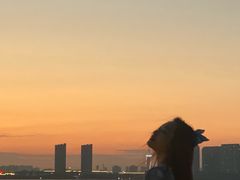 -瑶湖郊野森林公园
