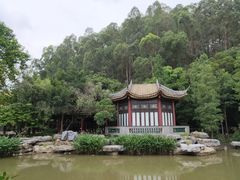 -顺峰山公园