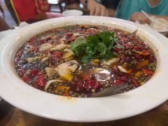 -双流老字号董蹄花(机场南四路店)