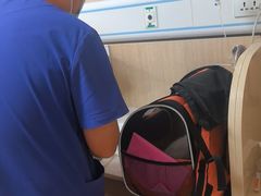 -北京观赏动物医院·24小时大型综合·猫专科·异宠专科