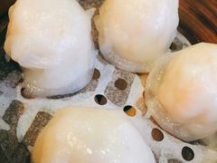 -添运来(茶园奥园广场店)