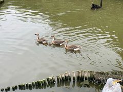 -无锡动物园·太湖欢乐园
