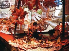 -地球美食剧场