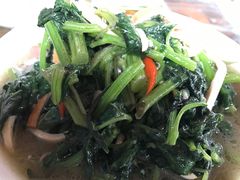 -安吉胖嫂家