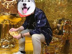 -不可思议减压馆·解压博物馆·摔碗发泄·团建定制