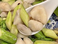 -兰边碗(鼓楼店)