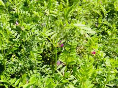 -西溪天堂·悦居