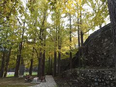 -阳台山自然风景区