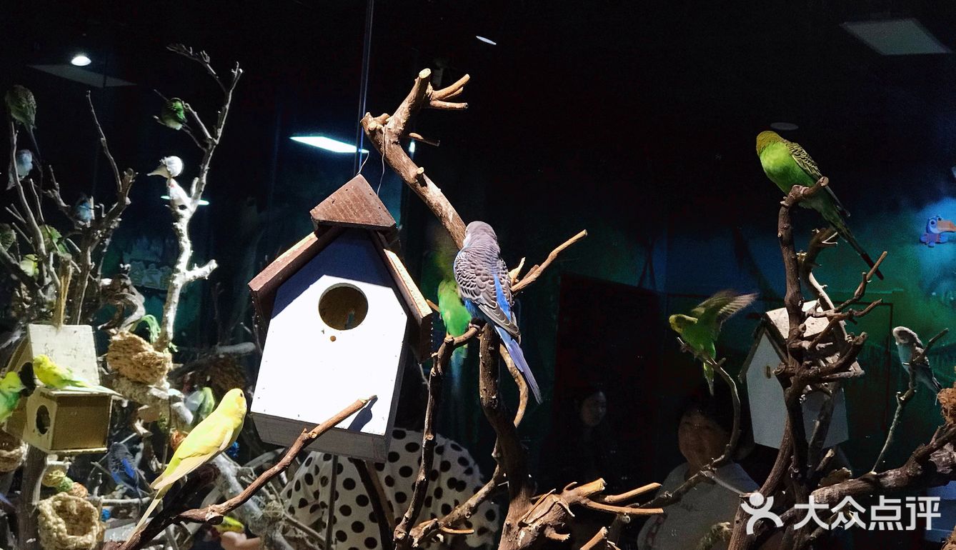 只有企鹅和水母和几个小鱼 海星不能手摸