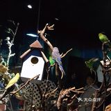 只有企鹅和水母和几个小鱼 海星不能手摸