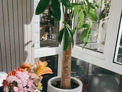 -蝶舍·MAISON PAPILLON