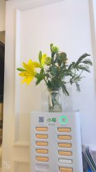 -Hi Beauty Skin 科技美肤中心