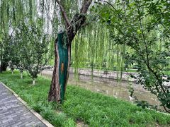 -元大都城垣遗址公园