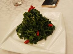 -金蝉食府(维吉奥广场店)