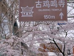-鸡鸣寺