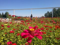 -长春世界雕塑园冰雪艺术天地