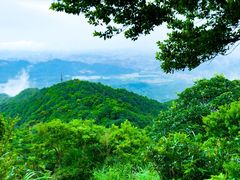 -梧桐山风景名胜区