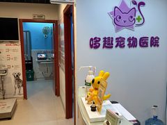 -哆趣宠物医院·眼科·内镜·急重症转诊中心(上海店)