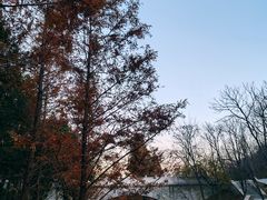 -白水寺森林公园