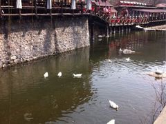 iphone_upload_pic-北京水岸山吧度假村(雁栖镇店)