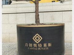 -首创奥特莱斯(西安店)
