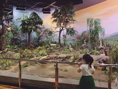 -陕西自然博物馆