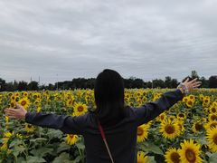 -郫都区农科村景区