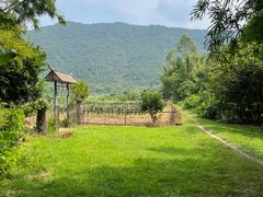 -开平碉楼文化旅游区马降龙景区