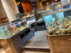 -许家菜(望江店)