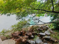 -雨花胜境