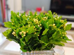 -新世界百货(明洞总店)