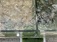 -浩海美食店(闸坡店)